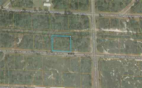 3507 Finch Ave, Lake Placid, FL 33852
