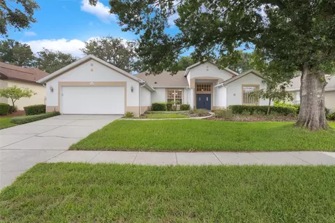 6029 Falconbridge Pl, Mount Dora, FL 32757