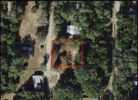 4215 NE 172nd Ave, Silver Springs, FL 34488