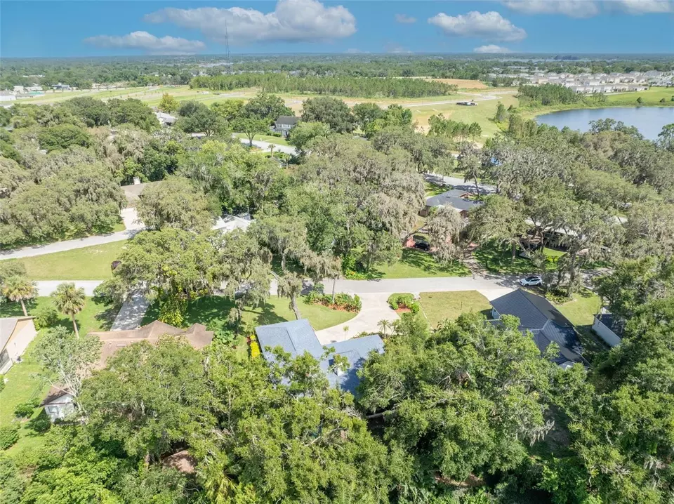 View/Area - 1238 Palmetto Rd, Eustis, FL 32726 photo 15 of 19