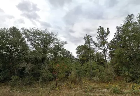 Matheson Street, Chipley, FL 32428