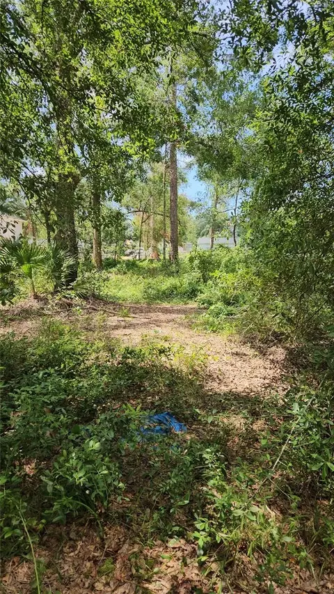 7624 Anno St, Tampa, FL 33625