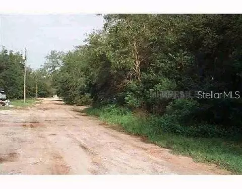 Calamondin Street, Lady Lake, FL 32159