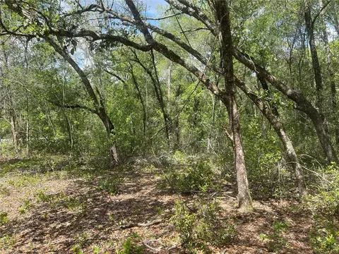 2205 Adams St, Inverness, FL 34453