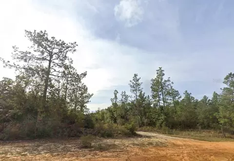 Kings Drive, Chipley, FL 32428