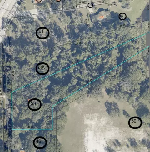 325 Marker St, Altamonte Springs, FL 32701