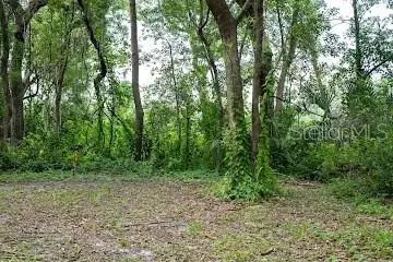 8641 High St, Yalaha, FL 34797