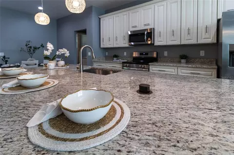 Kitchen - 41550 Royal Trails Rd, Eustis, FL 32736 photo 2 of 4
