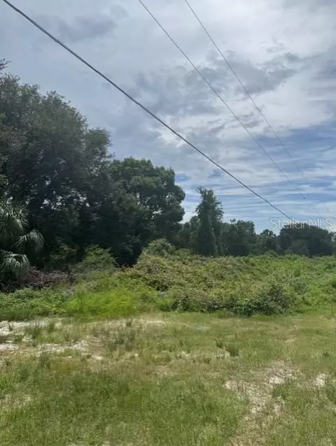 1306 Pell Rd, Osteen, FL 32764