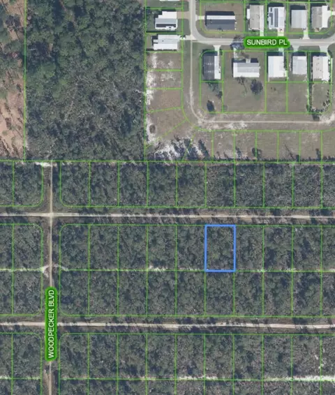 455 Nightingale Ave, Sebring, FL 33870 photo 4