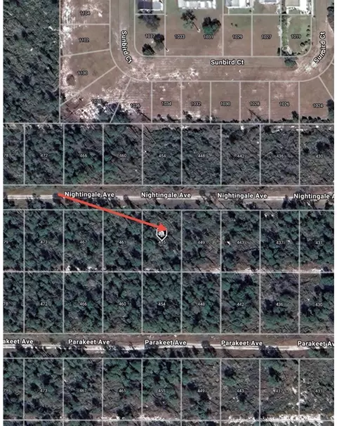 455 Nightingale Ave, Sebring, FL 33870 photo 10