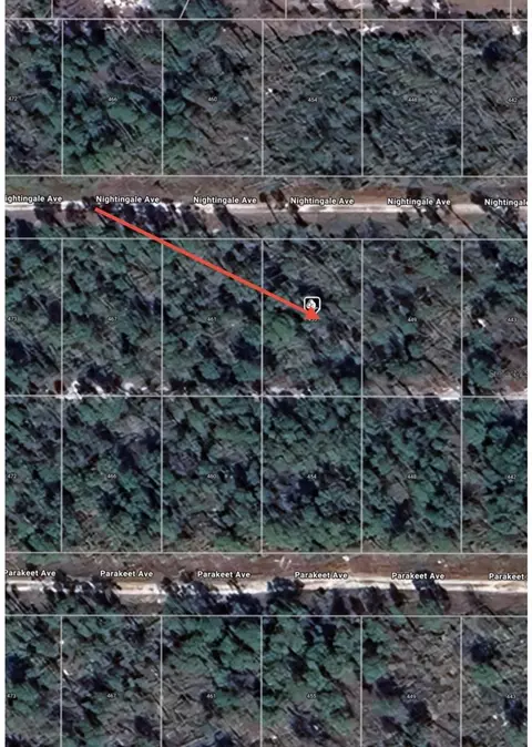455 Nightingale Ave, Sebring, FL 33870 photo 11