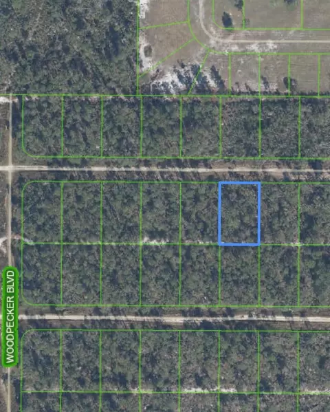 455 Nightingale Ave, Sebring, FL 33870 photo 3
