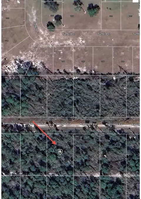 455 Nightingale Ave, Sebring, FL 33870 photo 8
