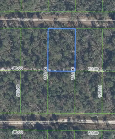 455 Nightingale Ave, Sebring, FL 33870 photo 2