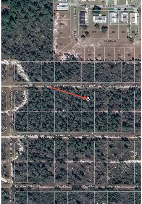 455 Nightingale Ave, Sebring, FL 33870 photo 9