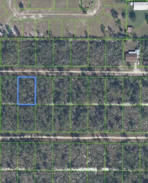 455 Nightingale Ave, Sebring, FL 33870 photo 5
