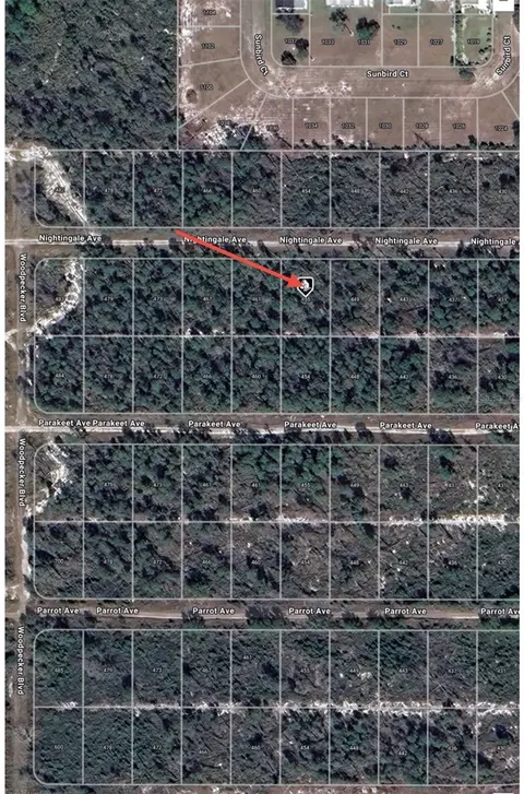 455 Nightingale Ave, Sebring, FL 33870 photo 7