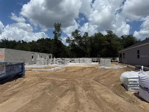 469 Lady Palm St, Apopka, FL 32703
