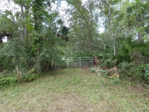 1275 Davidson Dr, Pierson, FL 32180
