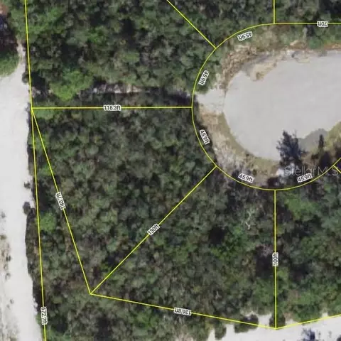 1250 Alafia Way, Kissimmee, FL 34759