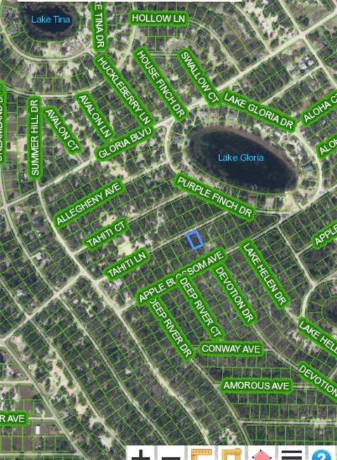 421 Tahiti Ln, Lake Placid, FL 33852