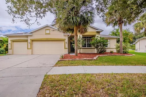 11030 Stone Branch Dr, Riverview, FL 33569