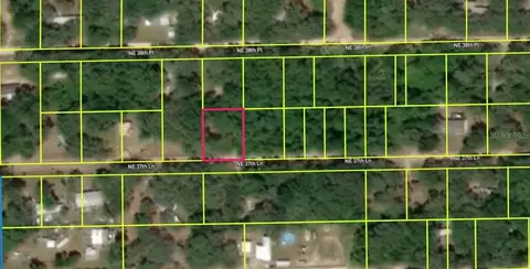 17185 NE 37th Ln, Silver Springs, FL 34488