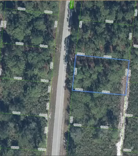 5132 Trevino Ave, Sebring, FL 33872