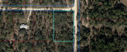 SE 150th Ave, Williston, FL 32696