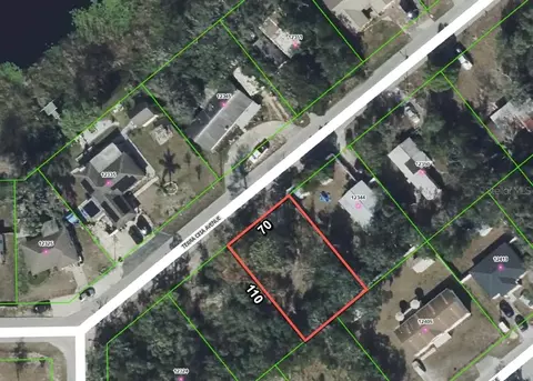 12338 Terra Ceia Ave, New Port Richey, FL 34654
