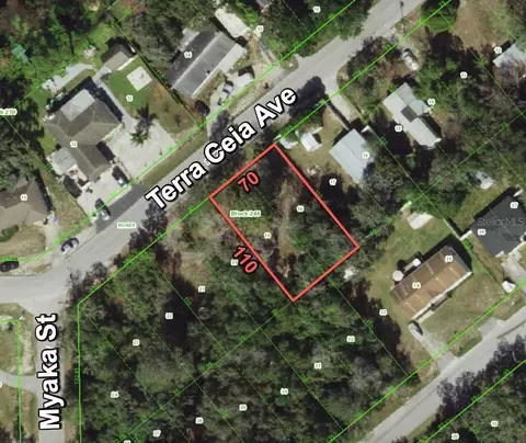 12338 Terra Ceia Ave, New Port Richey, FL 34654