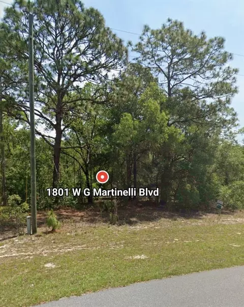 1801 W G Martinelli Blvd, Citrus Springs, FL 34434
