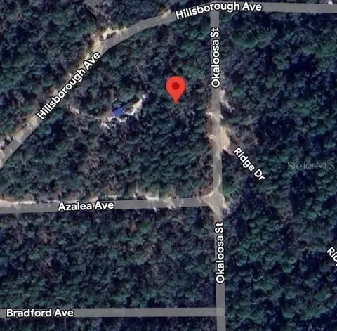 903 Okaloosa St, Florahome, FL 32140