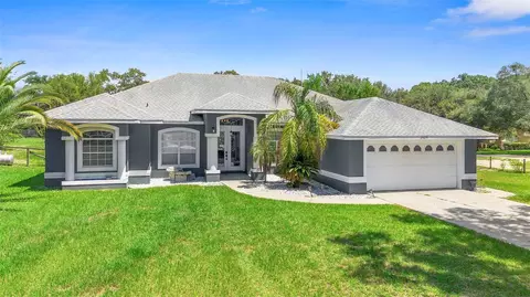 25039 Adair Ave, Sorrento, FL 32776