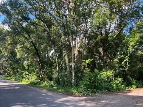 Par Avenue, Sorrento, FL 32776