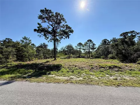 0 Malauka Pass, Ocklawaha, FL 32179