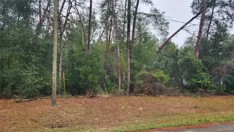 Locust Course Radial, Ocala, FL 34472