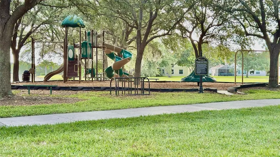 View/Area - 239 Longhirst Loop, Ocoee, FL 34761 photo 3 of 7