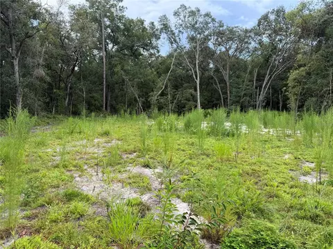 106 Jackson Ave, Interlachen, FL 32148 photo 7