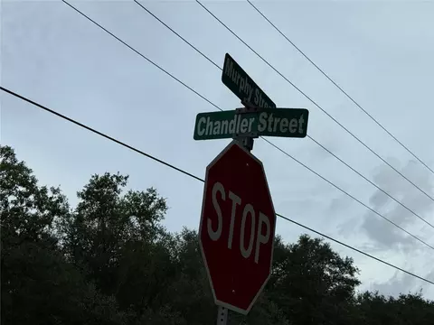 106 Jackson Ave, Interlachen, FL 32148 photo 20