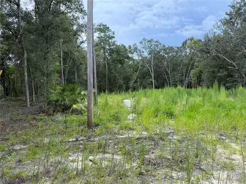 106 Jackson Ave, Interlachen, FL 32148
