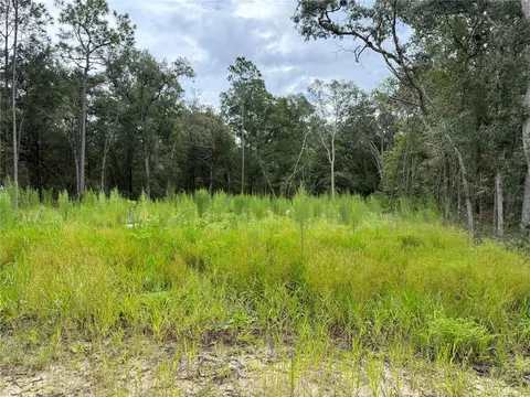 106 Jackson Ave, Interlachen, FL 32148 photo 12