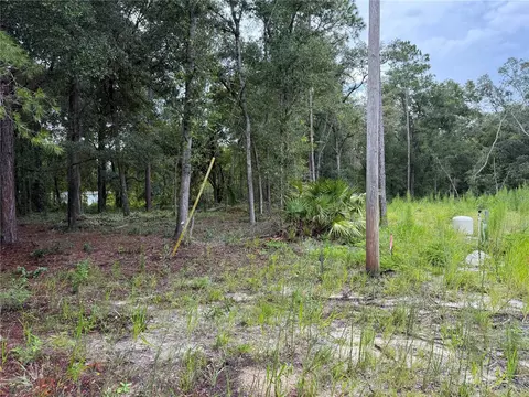 106 Jackson Ave, Interlachen, FL 32148 photo 2