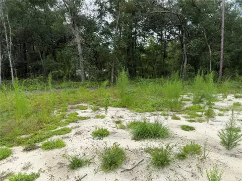 106 Jackson Ave, Interlachen, FL 32148 photo 9