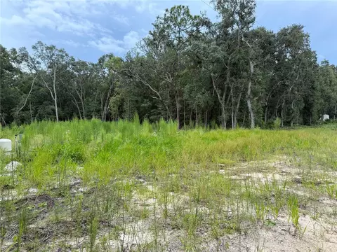 106 Jackson Ave, Interlachen, FL 32148 photo 3