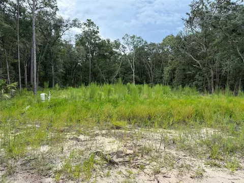 106 Jackson Ave, Interlachen, FL 32148 photo 4
