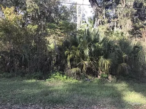 lot13 Lake, Panasoffkee, FL 33538