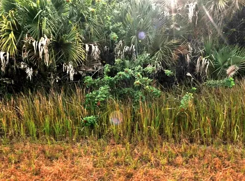 Sernice Street, North Port, FL 34288