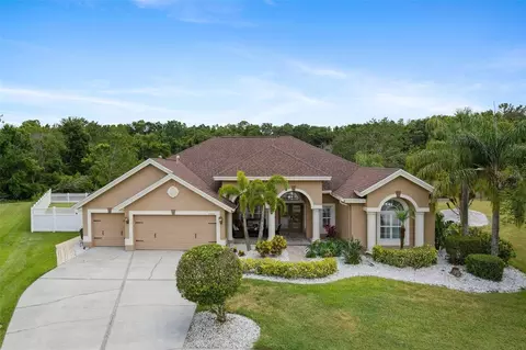 27740 Water Ash Dr, Wesley Chapel, FL 33544